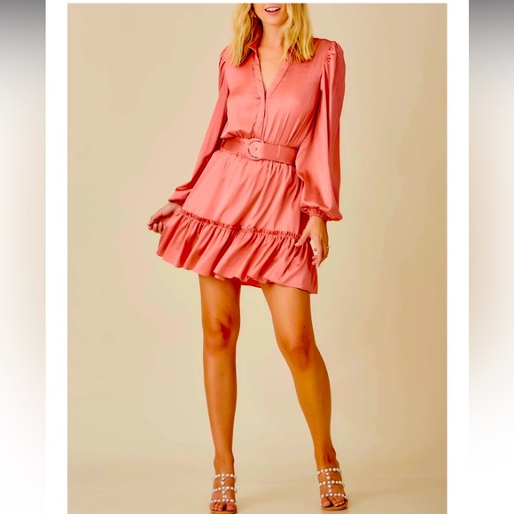 NWT BEAUTIFUL ROSE PETAL WAIST BELT DRESS - Picture 5 of 5